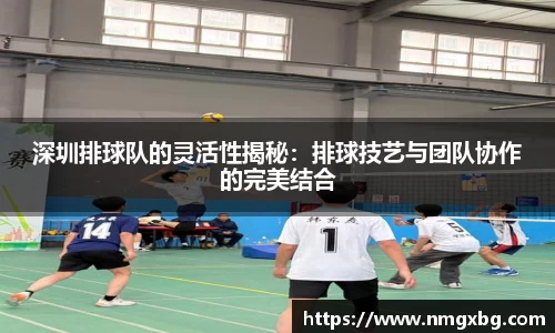 深圳排球队的灵活性揭秘：排球技艺与团队协作的完美结合