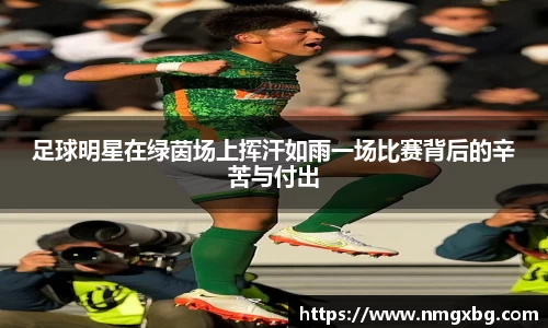 三亿体育有限公司