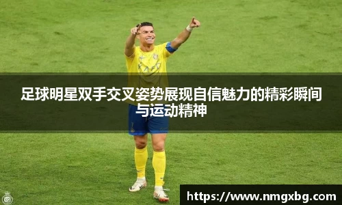 三亿体育有限公司