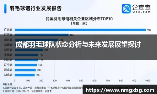 成都羽毛球队状态分析与未来发展展望探讨